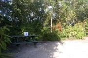 Campsite #2 at Blue Spring State Park showing a green picnic table with a metal fire ring.