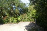 Campsite #2 at Blue Spring State Park.