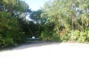 Campsite #2 at Blue Spring State Park showing a picnic table and fire ring.