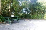 Campsite #3 at Blue Spring State Park with a picnic table and fire ring.