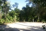 Campsite #3 at Blue Spring State Park surrounded by palmetto plants and oak trees.
