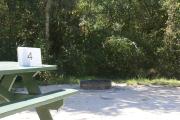 Campsite #4 at Blue Spring State Park with picnic table and fire ring.