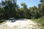 Campsite #4 at Blue Spring State Park with picnic table and fire ring.