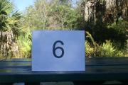 ADA accessible campsite #6 at Blue Spring State Park showing number on picnic table.