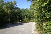 Accessible campsite #7 at Blue Spring State Park with paved RV pad.