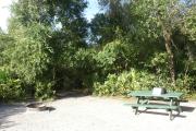Campsite #9 at Blue Spring State Park showing picnic table and fire ring.