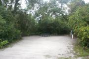 Campsite #10 at Blue Spring State Park.