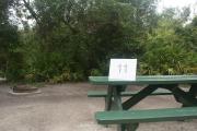 Campsite #11 at Blue Spring State Park showing picnic table and fire ring.