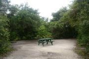Campsite #11 at Blue Spring State Park showing picnic table and fire ring.