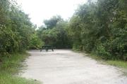 Campsite #11 at Blue Spring State Park showing picnic table and fire ring.