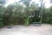 Campsite #12 at Blue Spring State Park showing picnic table and fire ring.
