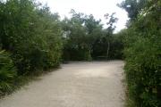 Campsite #12 at Blue Spring State Park.