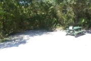 Campsite #13 at Blue Spring State Park showing picnic table and fire ring.