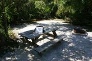Campsite #15 at Blue Spring State Park showing picnic table and fire ring.