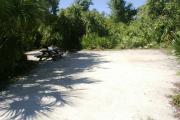 Campsite #15 at Blue Spring State Park showing picnic table and fire ring.