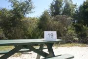 Campsite #19 at Blue Spring State Park showing picnic table.