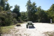 Campsite #19 at Blue Spring State Park showing picnic table and fire ring.