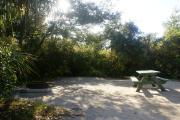 Campsite #21 at Blue Spring State Park showing picnic table and fire ring.