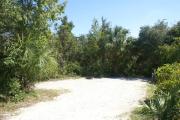 Campsite #23 at Blue Spring State Park showing picnic table and fire ring.