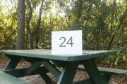Campsite #24 at Blue Spring State Park showing picnic table.