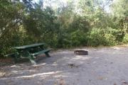 Campsite #24 at Blue Spring State Park showing picnic table and fire ring.