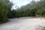 Campsite #24 at Blue Spring State Park showing picnic table and fire ring.