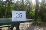 Campsite #25 at Blue Spring State Park showing picnic table.