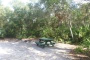 Campsite #25 at Blue Spring State Park showing picnic table and fire ring.