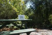Campsite #26 at Blue Spring State Park showing picnic table.