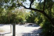 Campsite #26 at Blue Spring State Park showing picnic table and fire ring.