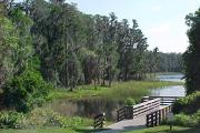 A wooden dock and canoe/kayak launch extending over Lake Dixie. This is the most popular fishing spot in the park.