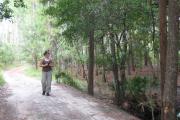A hiker pauses on the bridge over Big Creek.