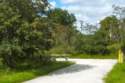 A 45 feet long paved back up campsite surrounded with lush vegetation. The sitting area is located to the left and has a wooden picnic table and a cast-iron barbeque stand. Water and electric hook-ups are on the right hand side of the site.