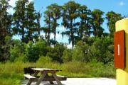A paved sitting area with a wooden picnic table and a cast-iron barbeque stand surrounded by lush vegetation.
