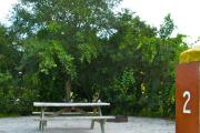 Lush vegetation giving privacy to a gravel sitting area with a wooden picnic table and a cast-iron fire circle.