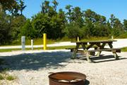 A fire circle and a picnic table in the foreground with the neighboring campsite across the road.