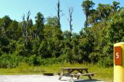 A gravel sitting area with a wooden picnic table and a cast-iron fire circle with a cypress tree backdrop.
