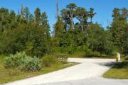 A 45 feet long gravel back up campsite with lush vegetation in the background. The sitting area is located to the left and has a wooden picnic table and a cast-iron fire circle. Water and electric hook-ups are on the right hand side of the site.