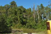 A gravel sitting area with a wooden picnic table and a cast-iron fire circle with a cypress tree backdrop.