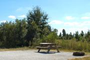 A gravel sitting area with a wooden picnic table, a cast-iron fire circle, trees, and low growing vegetation separating it from the neighboring site.