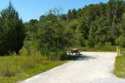 A 55 feet long gravel back up campsite with lush vegetation in the background. The sitting area is located to the left and has a wooden picnic table and a cast-iron fire circle. Water and electric hook-ups are on the right hand side of the site.