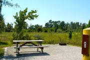 A gravel sitting area with a wooden picnic table and a cast-iron fire circle with a field of low growing vegetation behind it. The road leading into the campground is visible in the background.