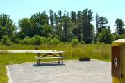 A gravel sitting area with a wooden picnic table and a cast-iron fire circle with cypress trees in the background. The road leading into the campground is in between the campsite and the trees.