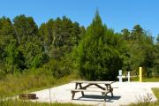 A fire circle and a picnic table in the foreground with the neighboring campsite mostly hidden by low growing trees.