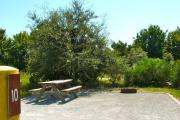 Vegetation surrounding a gravel sitting area with a wooden picnic table and a cast-iron fire circle.