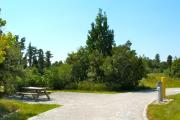 Vegetation surrounding a gravel sitting area with a wooden picnic table and a cast-iron fire circle across from the water and electric hook-ups.