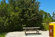 Lush vegetation is surrounding a gravel sitting area with a wooden picnic table and a cast-iron fire circle.