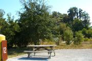 A wooden picnic table in a gravel sitting area with some trees and bushes giving some privacy. The campground parking lot can be seen in the background.