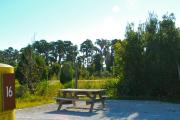 A sitting area with a wooden picnic table and a cast-iron fire circle. Some trees and bushes are giving partial shade and privacy.