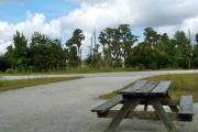 A wooden picnic table in the foreground with a view looking out of the site. Beyond the road there is low growing vegetation in front of the cypress trees growing around the lake. Some of the water is seen between the trees.